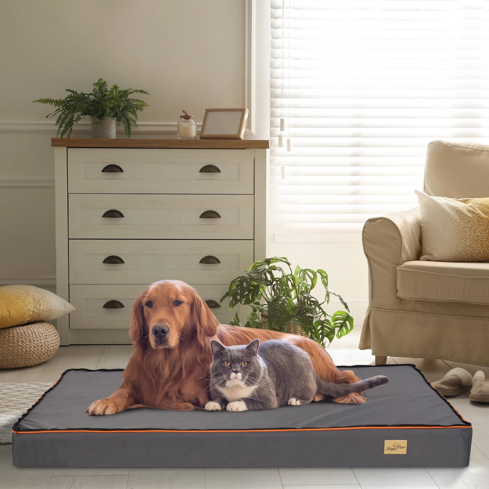 Padded Orthopedic Dog Foam Cushion Bed w/Washable Cover