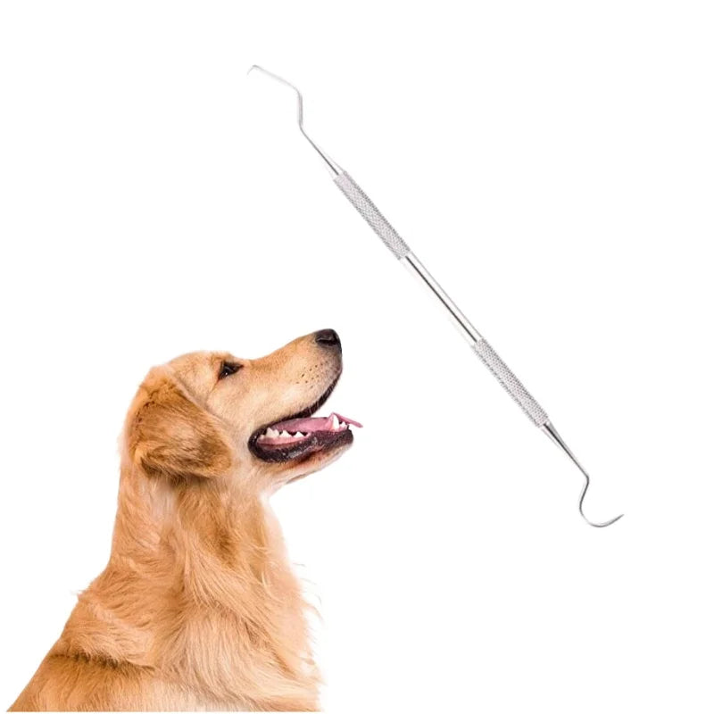 Pet Dentist Oral Care Tools