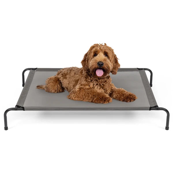 Elevated Pet Bed Detachable Multifunction