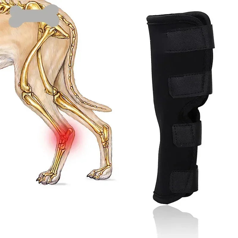 2PC Dog Joint Brace Bandage Wrap