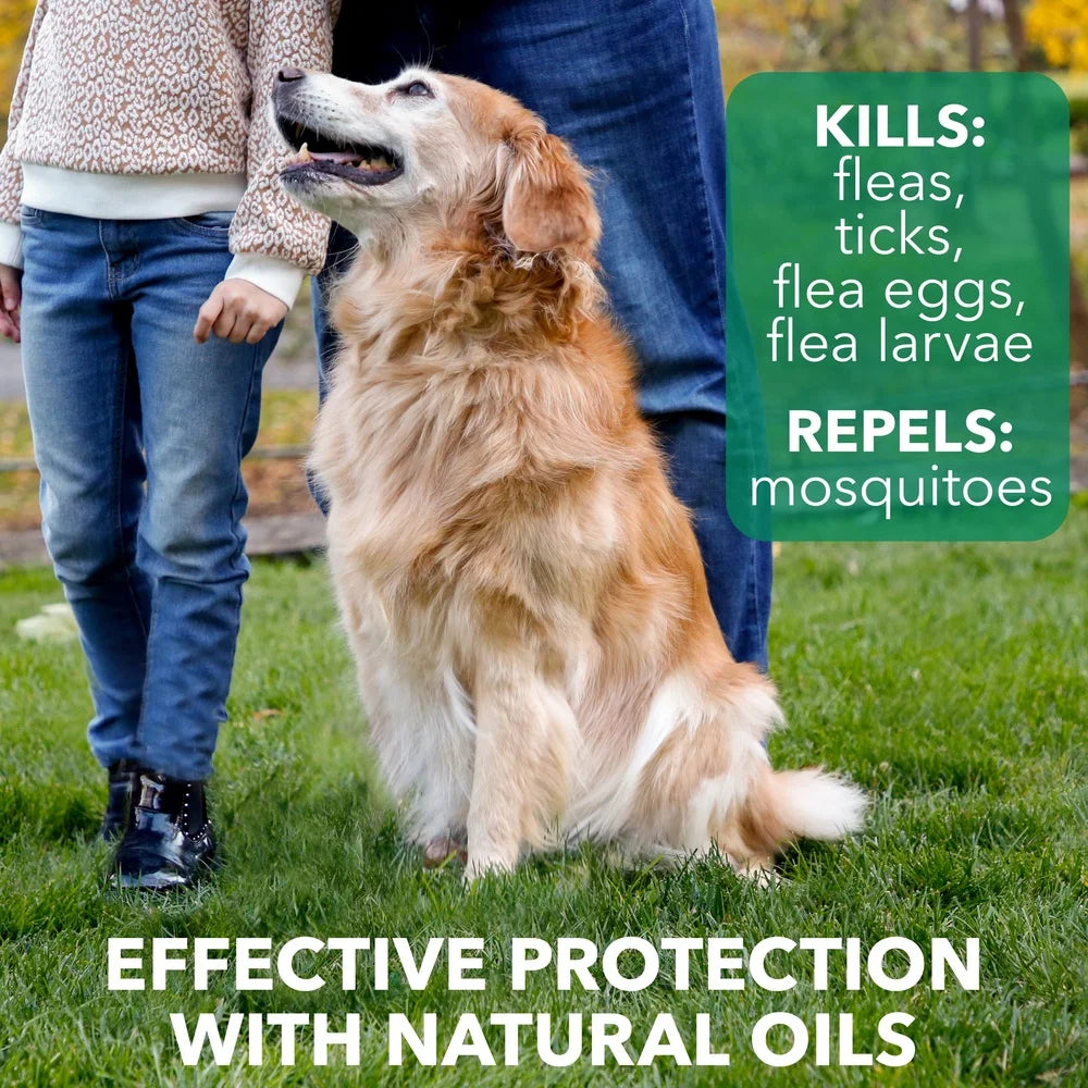 Fast Acting Effective Natural Flea & Tick Dog Shampoo