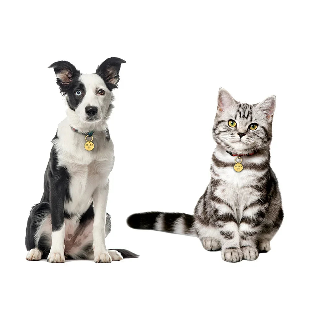 Personalized Stainless Steel Pet ID Tag