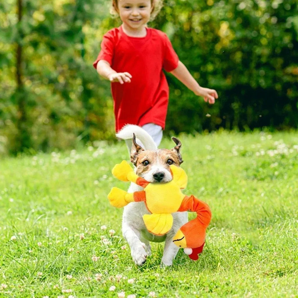 Funny Chicken Squeaky Plush Dog Toy