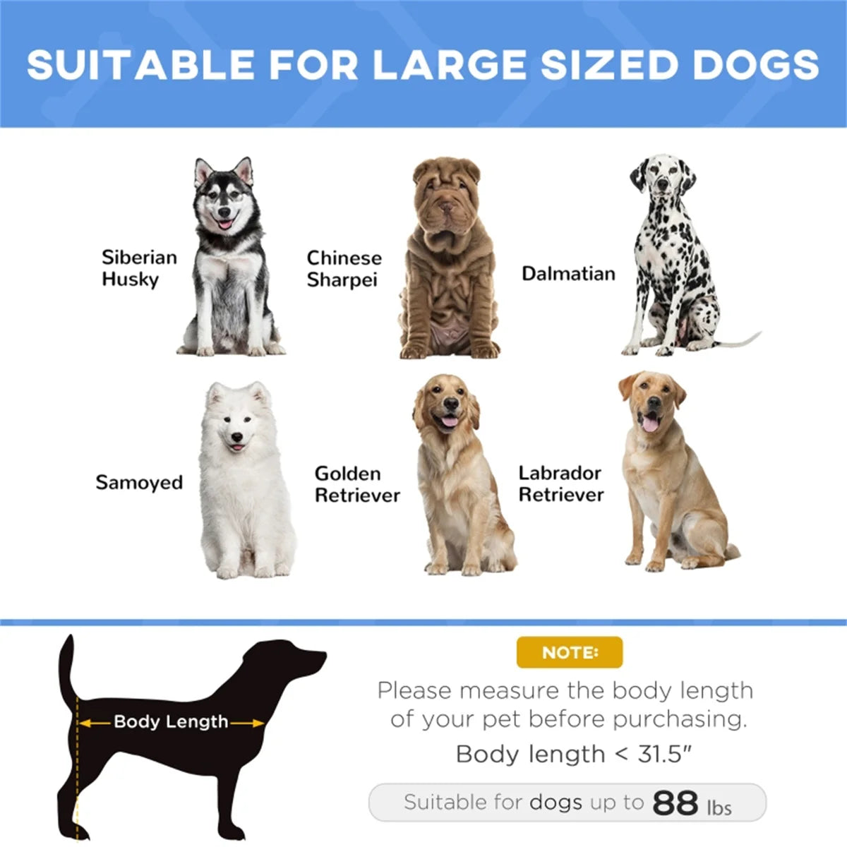 Portable Steel Frame Durable Pet Bed