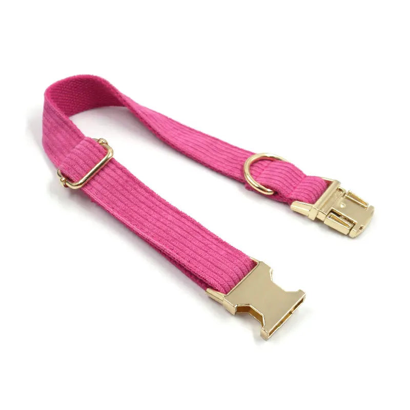 Fashion Corduroy Dog Collar w/ Gold Metal Buckle