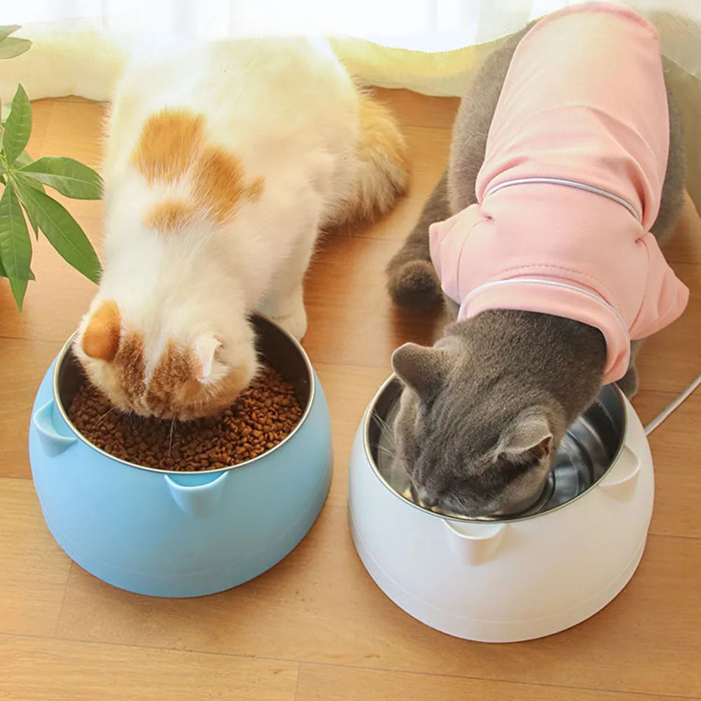 Elevated Non-Slip Stainless Steel Pet Food Bowl