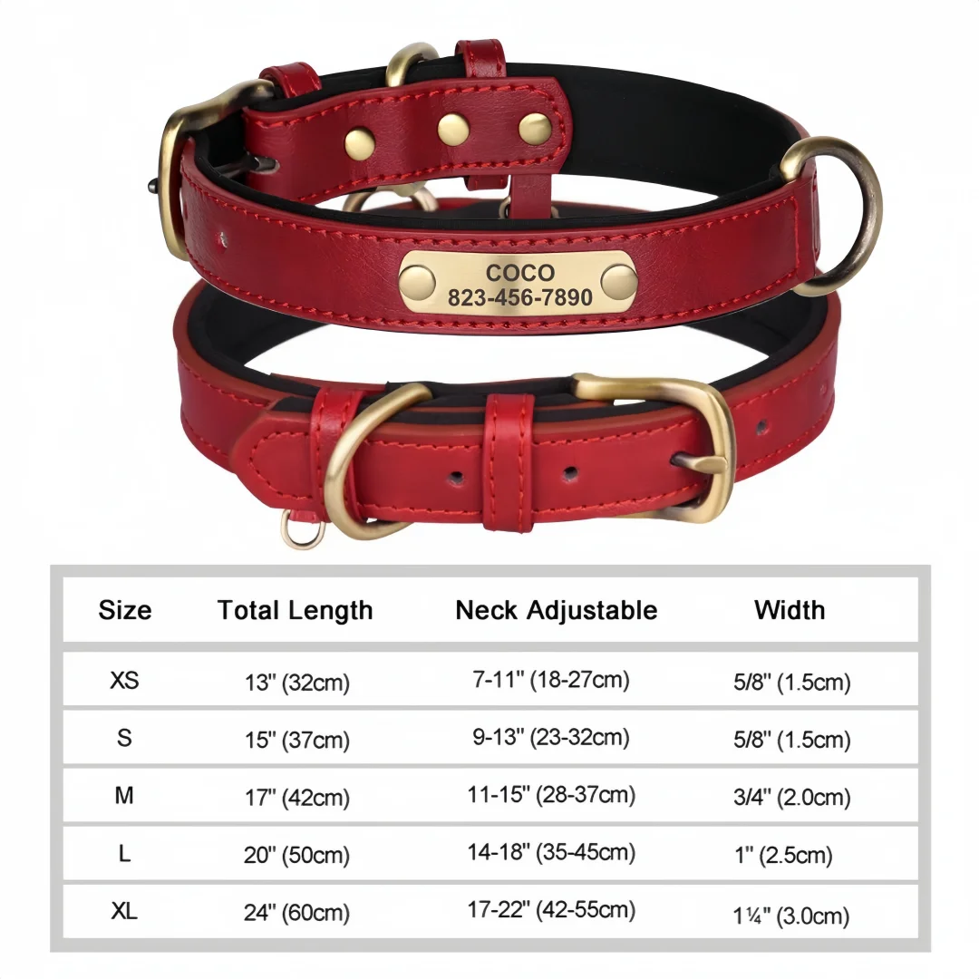 Soft Padded Leather Custom ID Dog Collar