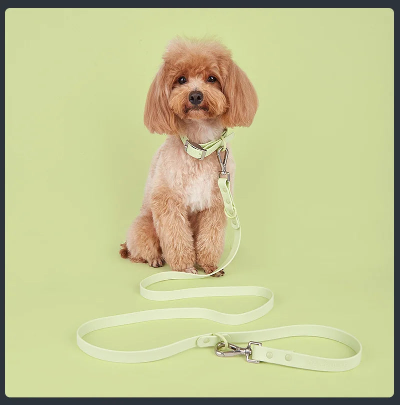 Strong Waterproof Double Head Rubber Dog Leash