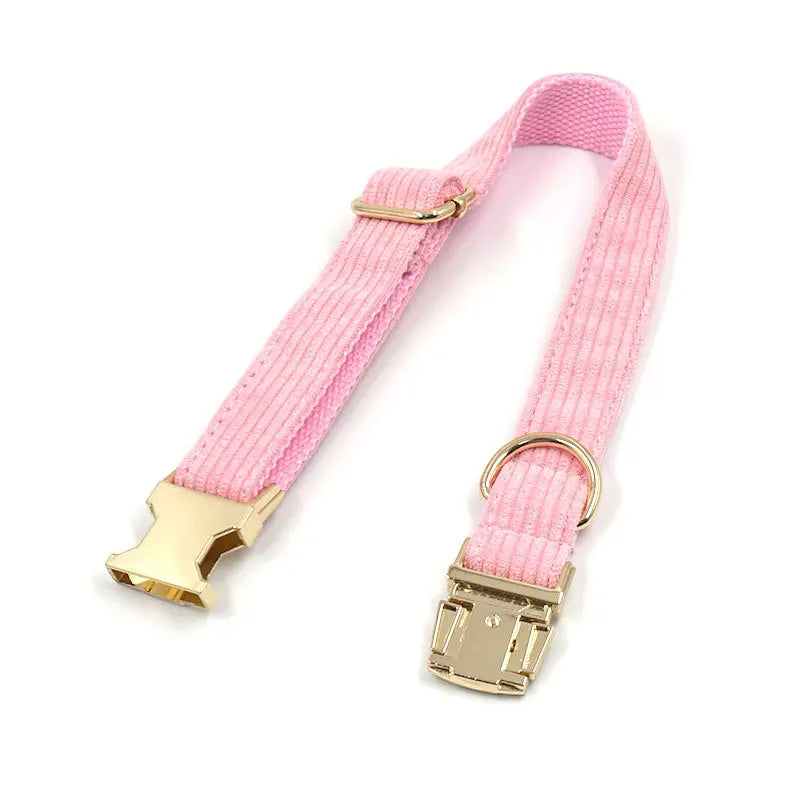 Fashion Corduroy Dog Collar w/ Gold Metal Buckle