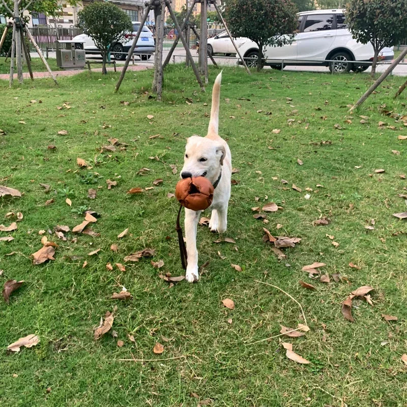 Leather Handle Dog Training Ball