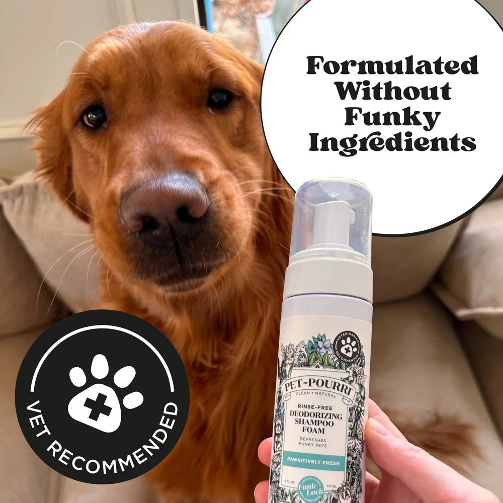 Deodorizing Waterless No-Rinse Dog Foam Shampoo
