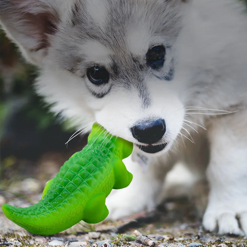 Squeaky Rubber Crocodile Dog Chew Toy