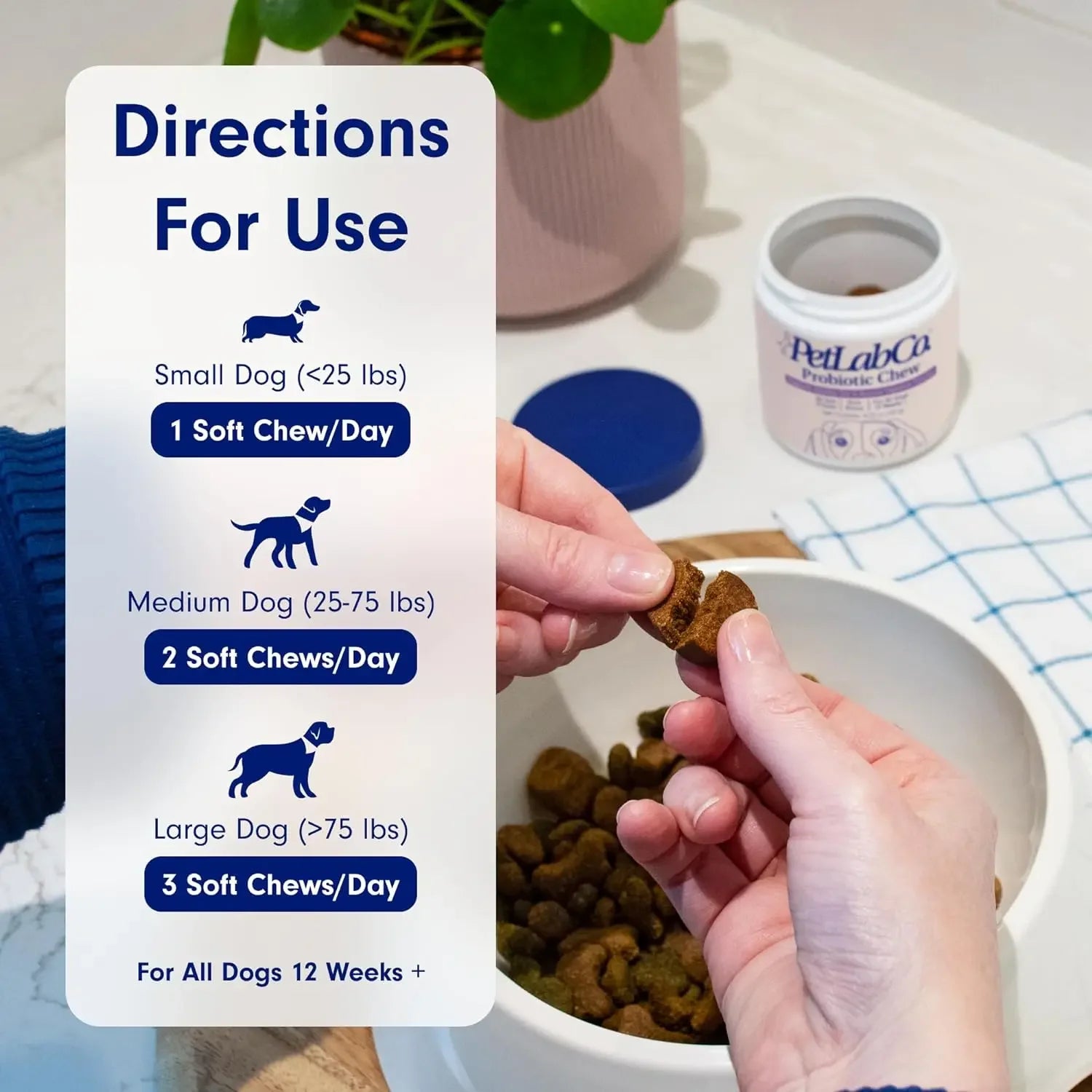 PetLab Co. Pork Flavored Probiotic Chews for Dogs