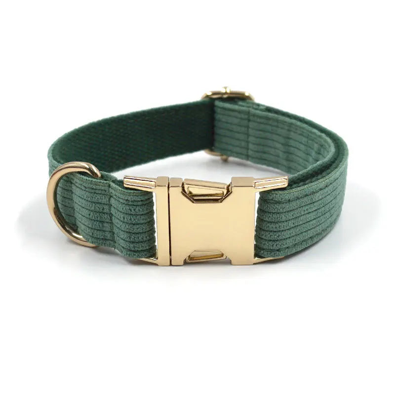 Fashion Corduroy Dog Collar w/ Gold Metal Buckle