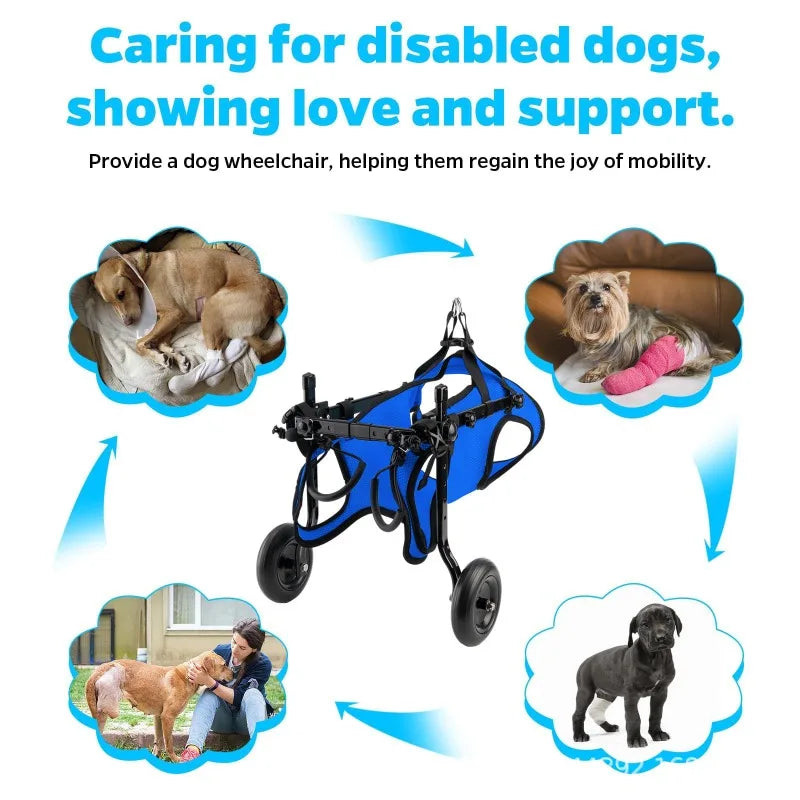 Rehab Dog Walking Assistance Vehicle