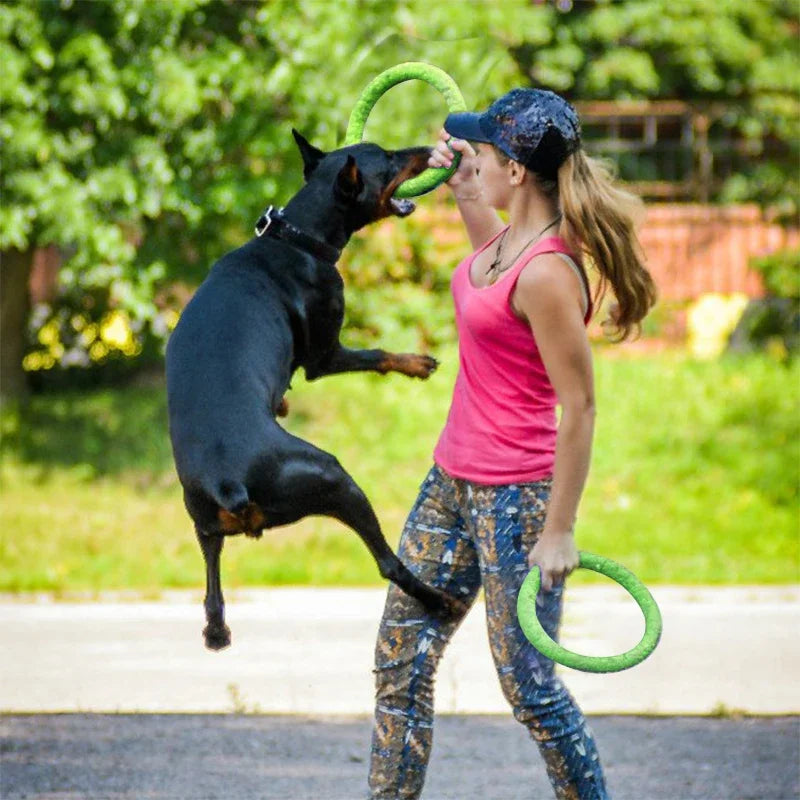 Dog Training Flying Puller Ring