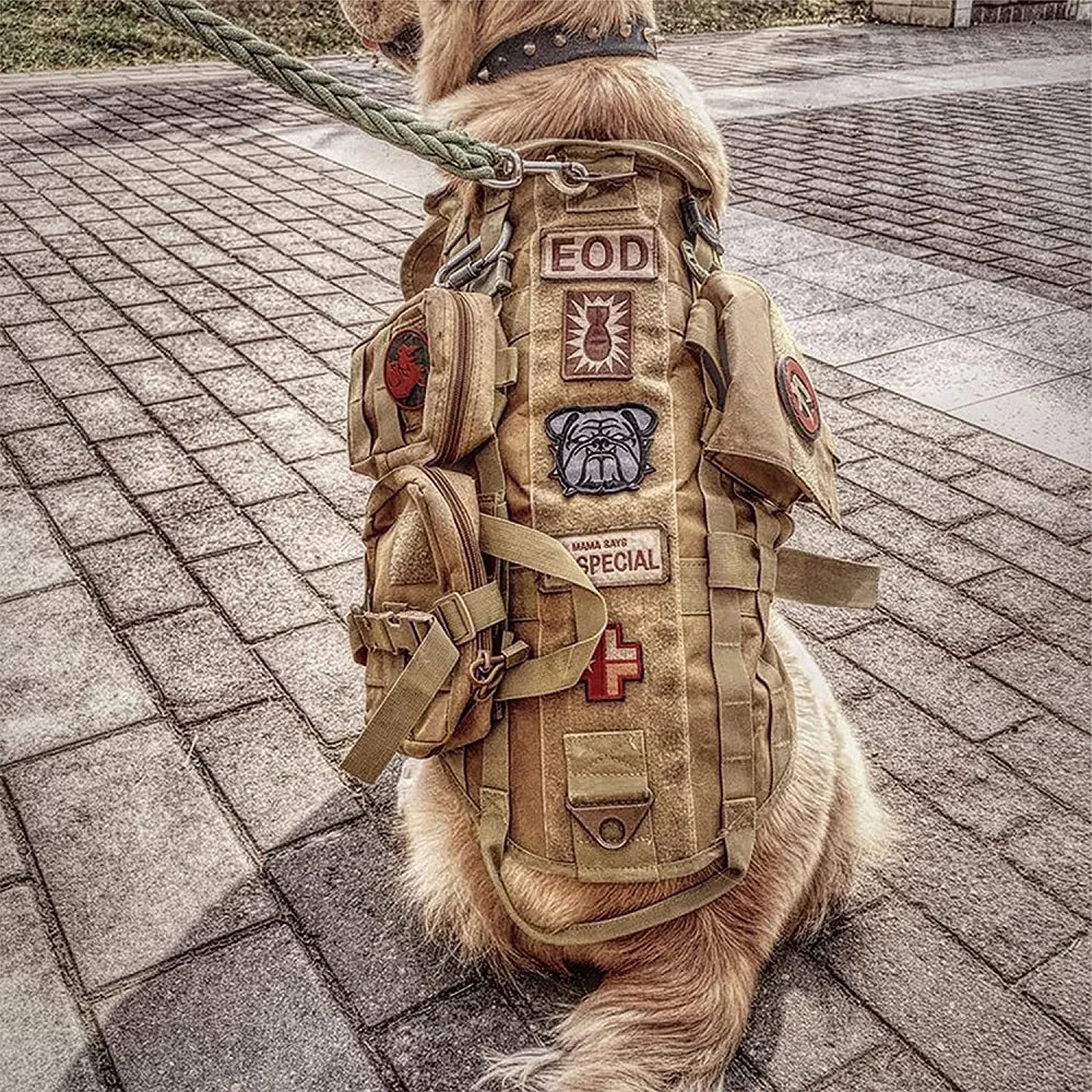 Large Dog Tactical Training Vest Harness & Leash Set