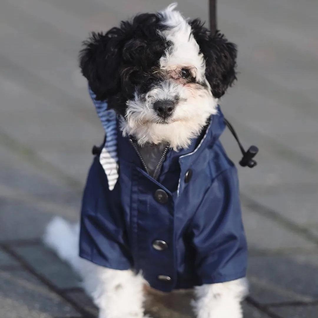 Stylish Colorful Hooded Waterproof Dog Rain Coat