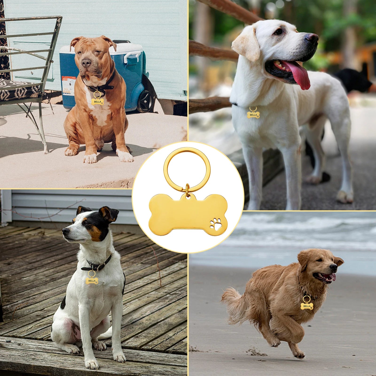 Multi-Shaped Custom Engraved Stainless Steel Pet ID Tag