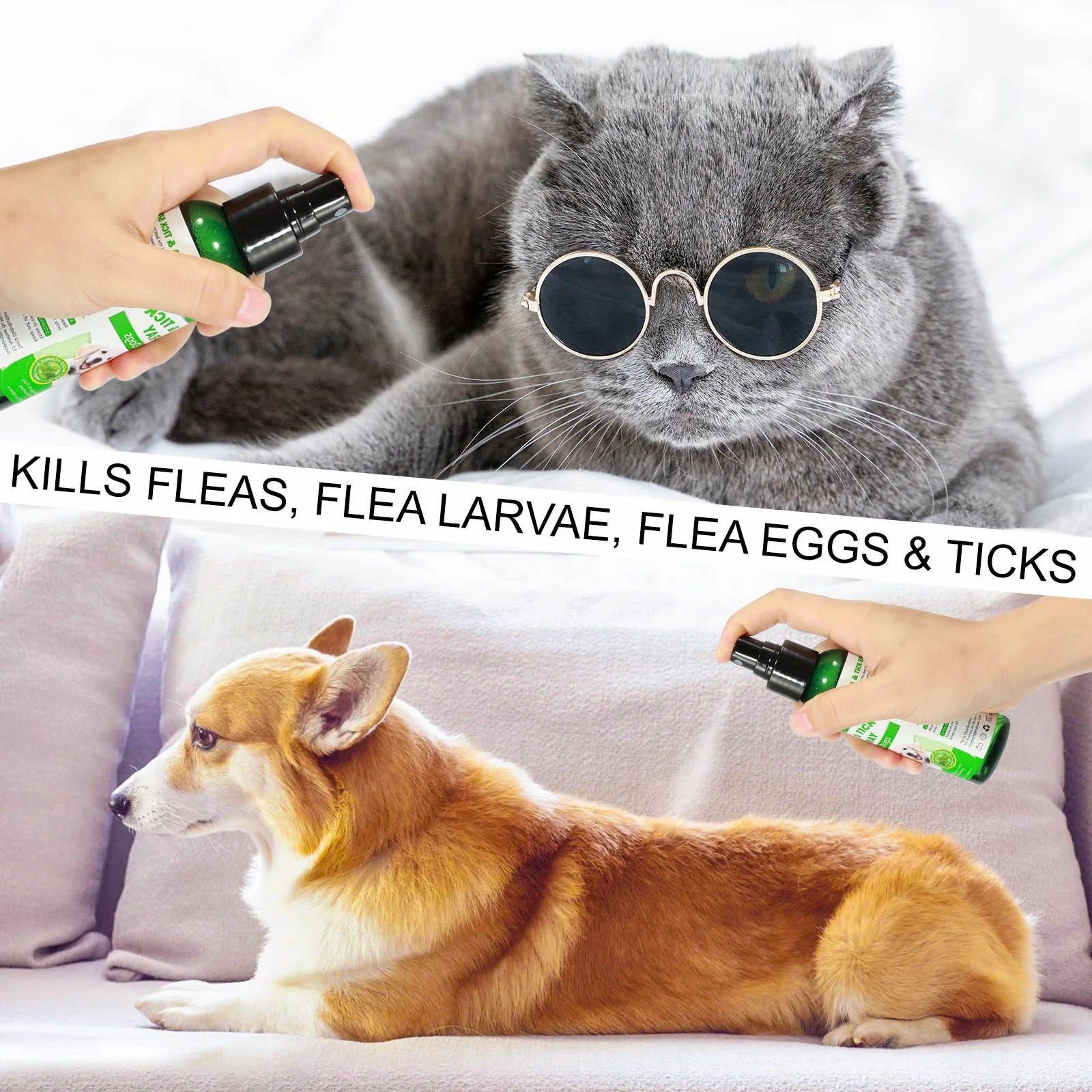 Easy-to-Use Pet Flea & Tick Spray