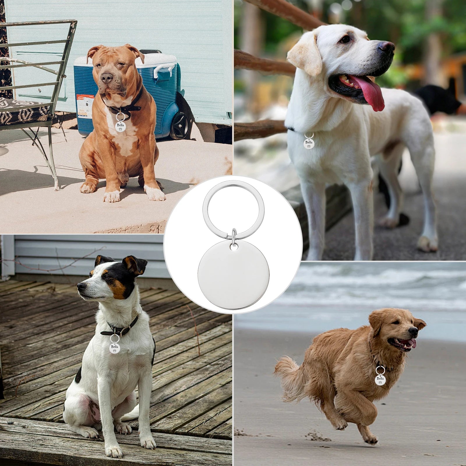 Double-Side Personalized Pet Collar ID Tag