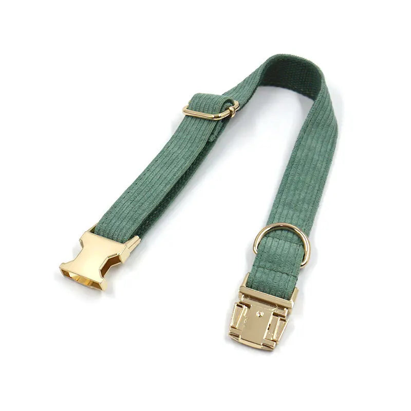 Fashion Corduroy Dog Collar w/ Gold Metal Buckle