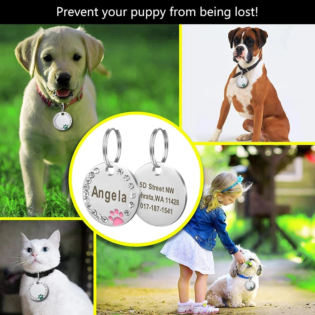 Engraved Stainless Steel Pet Pendant ID Tag