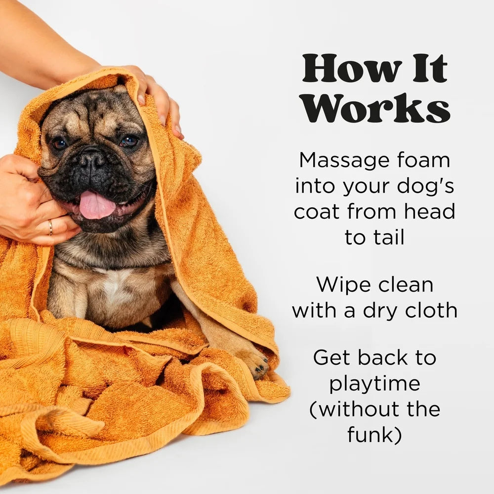 Deodorizing Waterless No-Rinse Dog Foam Shampoo