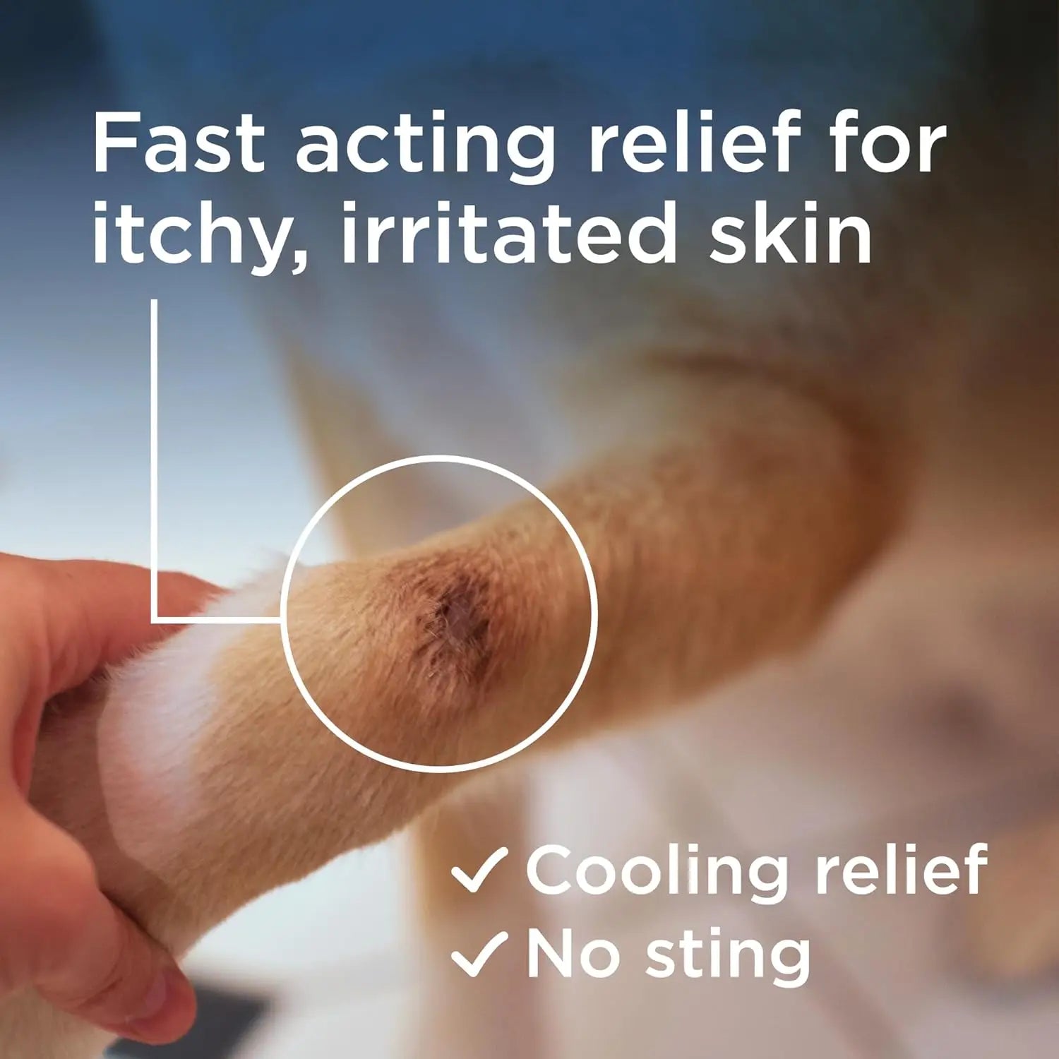 Rescue Pet Skin Relief Spray