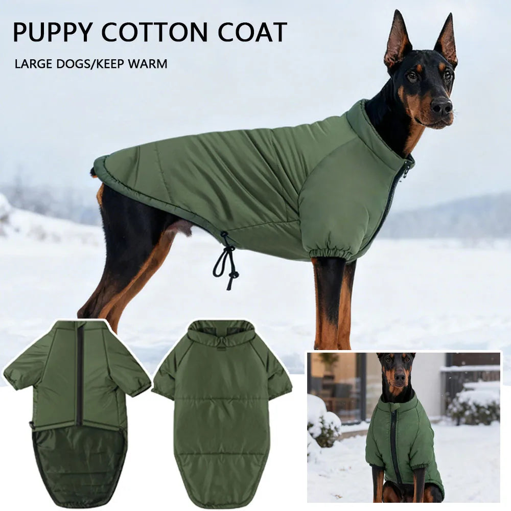 Windproof Cotton-Padded Thermal Pet Coat