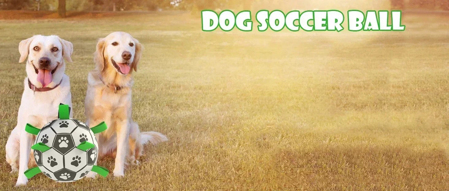 Durable Soccer Ball Dog Toy w/Straps