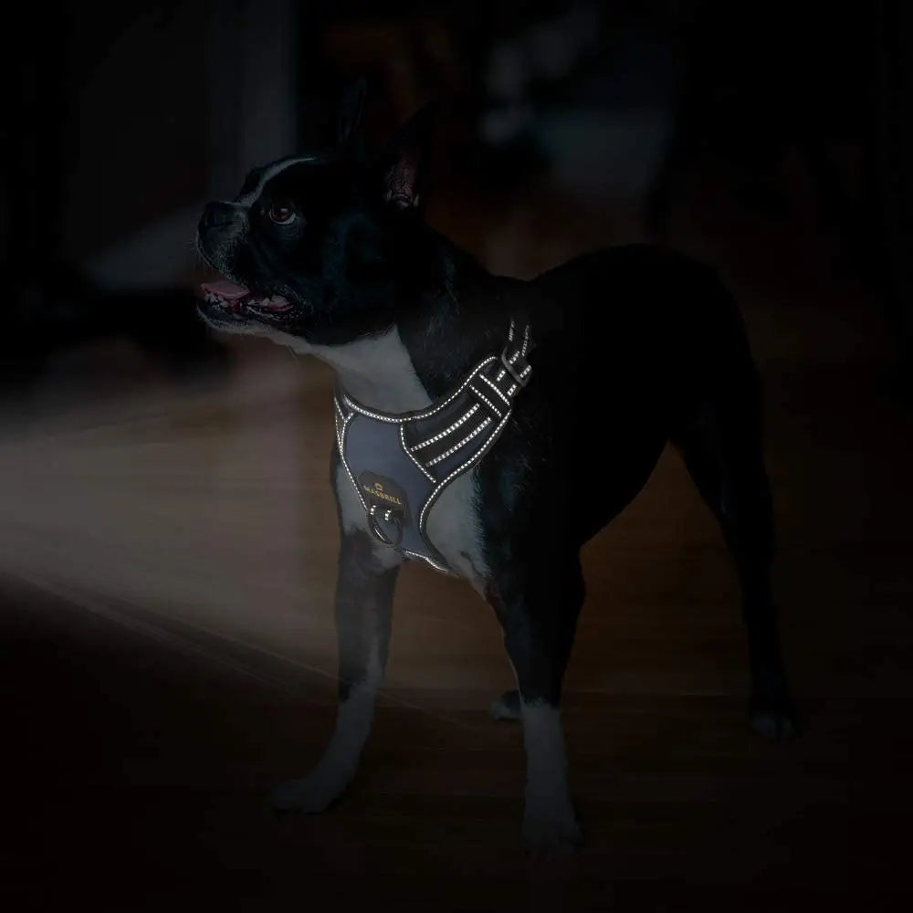 No-Pull Nylon Adjustable Reflective Dog Vest Harness w/ 2 Metal Leash Hooks