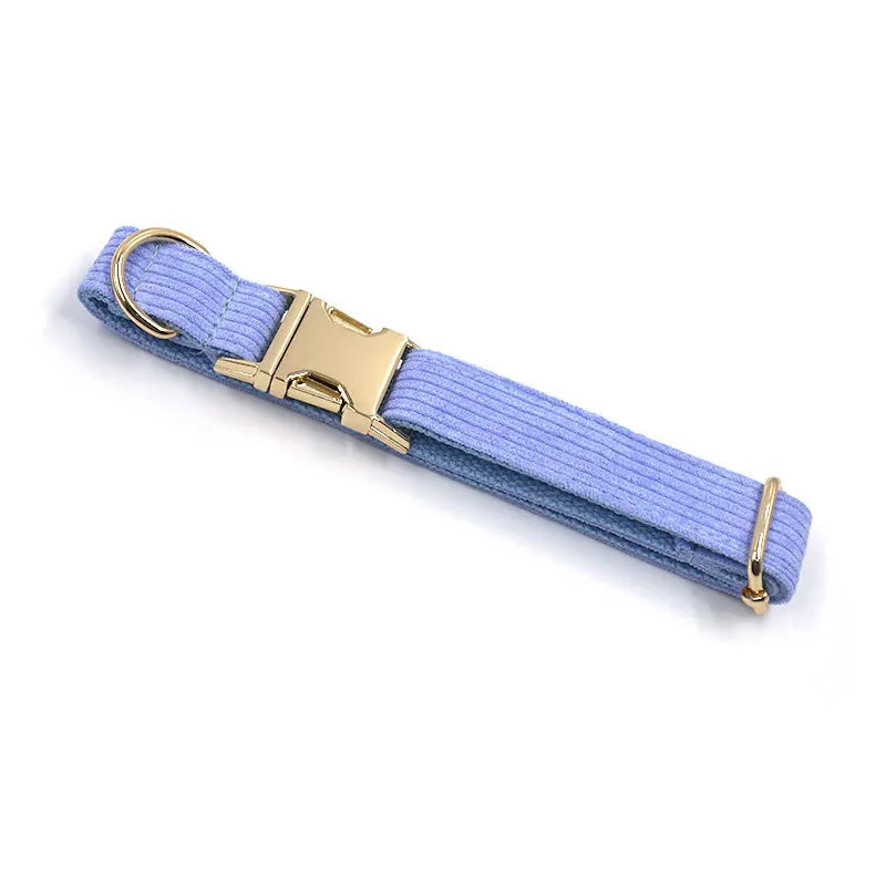 Fashion Corduroy Dog Collar w/ Gold Metal Buckle