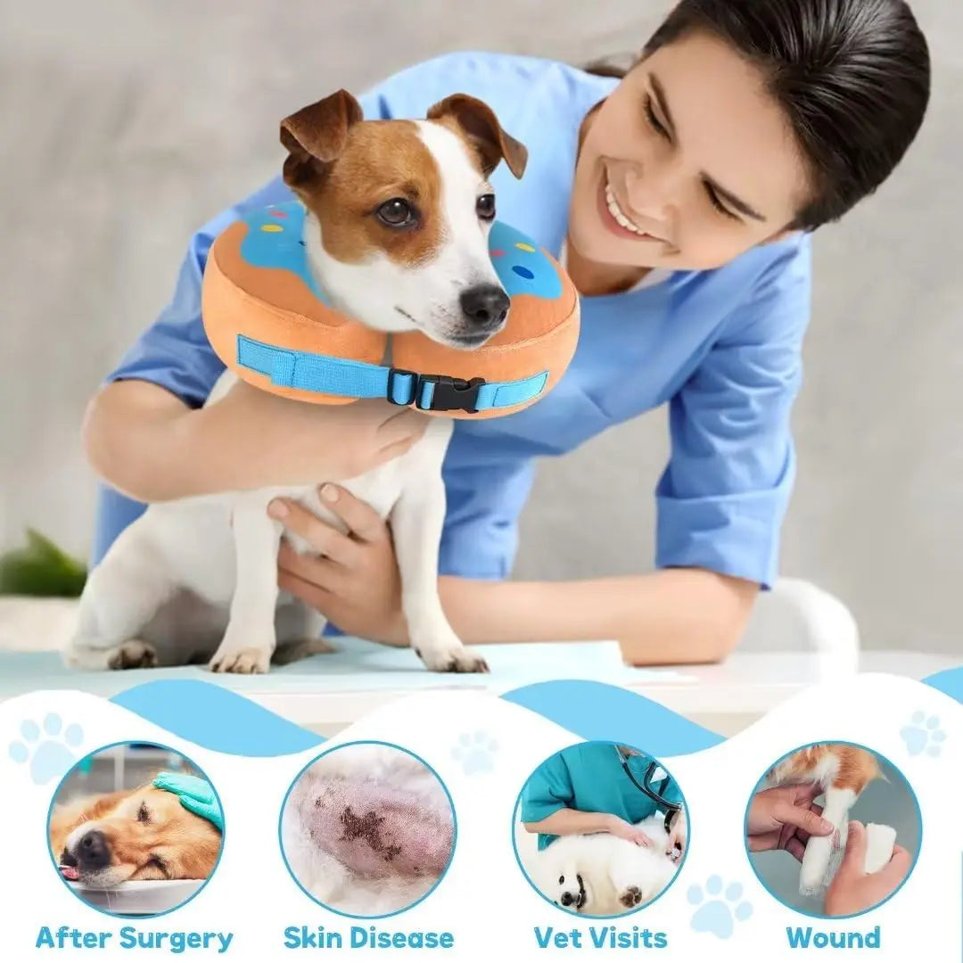 Protective Inflatable Pet Recovery Collar