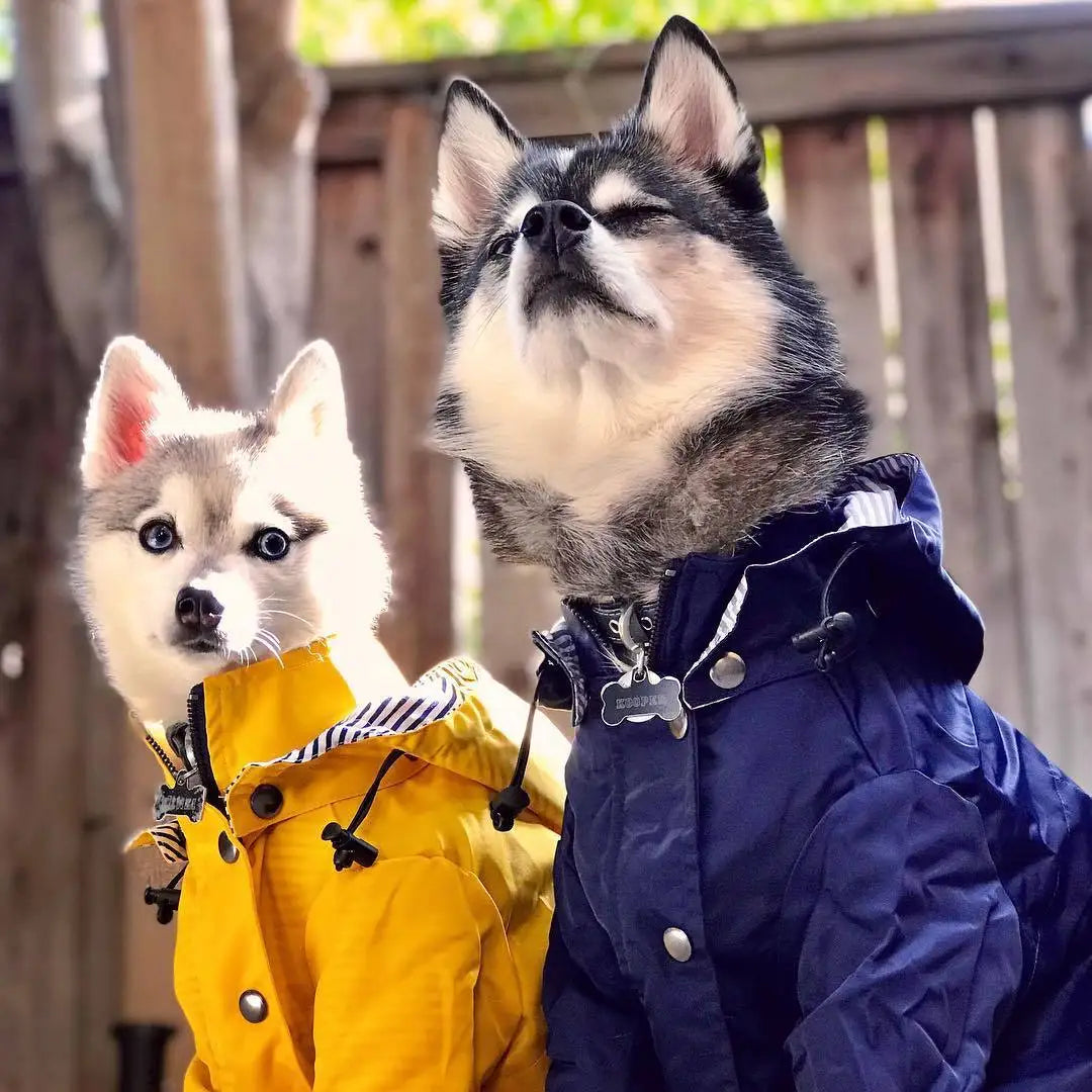 Stylish Colorful Hooded Waterproof Dog Rain Coat