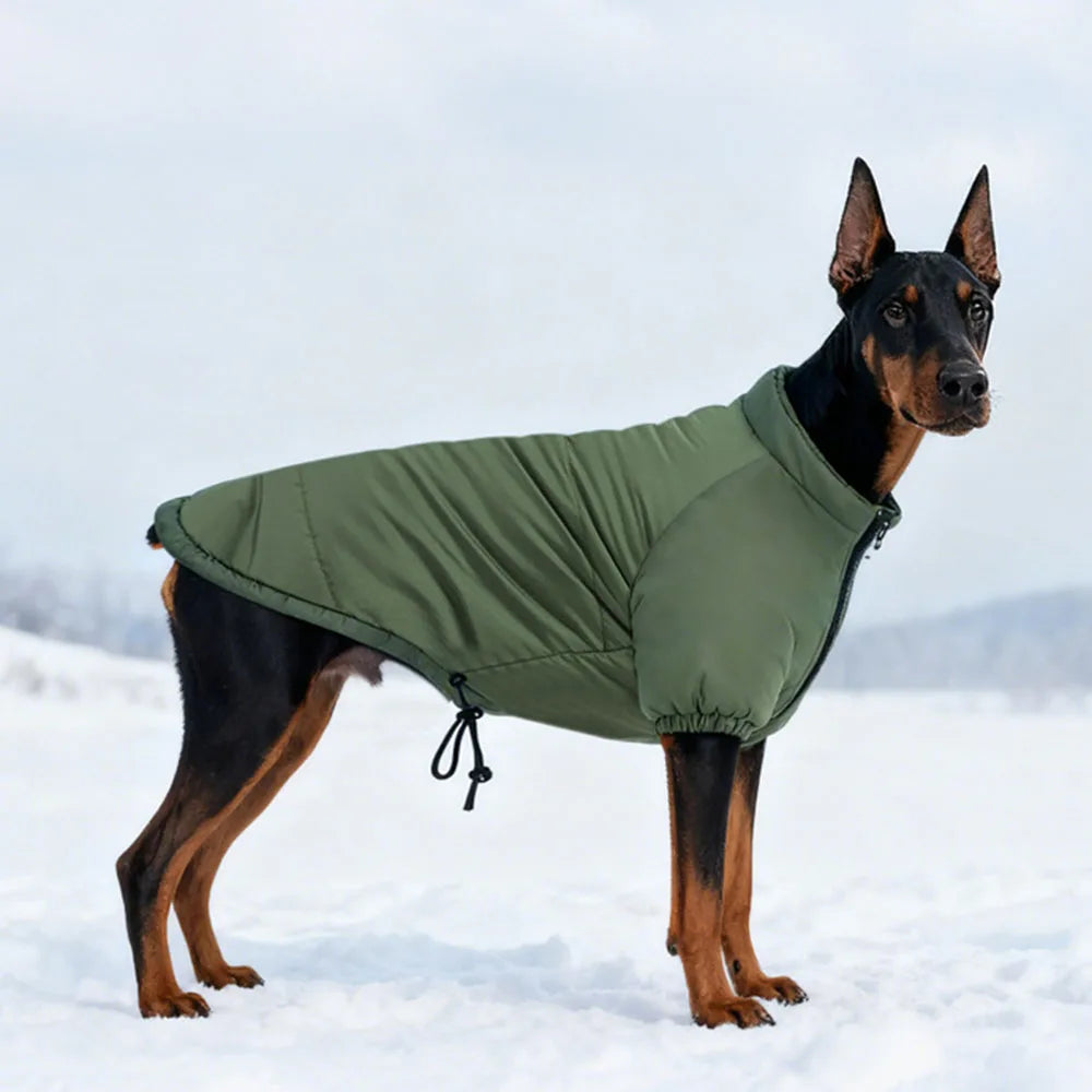 Windproof Cotton-Padded Thermal Pet Coat
