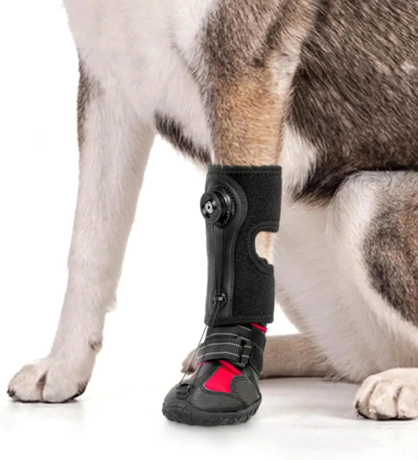 Non-Skid No Knuckling Dog Boot Brace