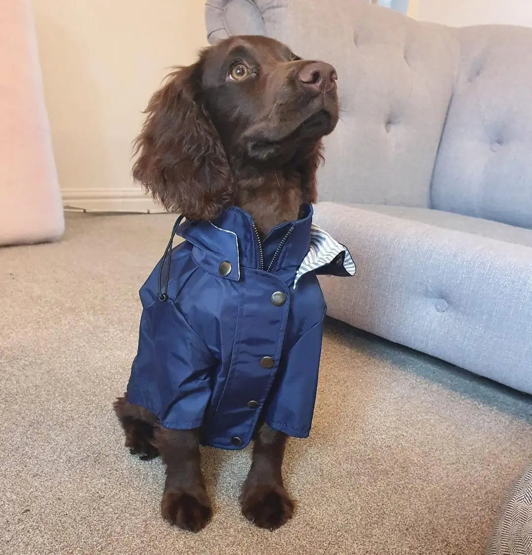Stylish Colorful Hooded Waterproof Dog Rain Coat