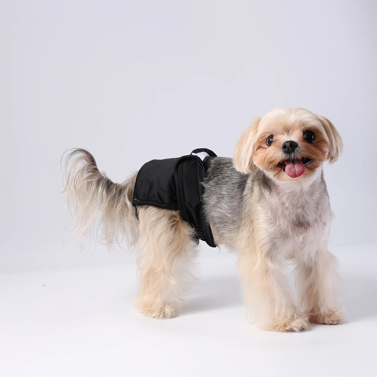 3PC Set Washable Leakproof Female Dog Diapers