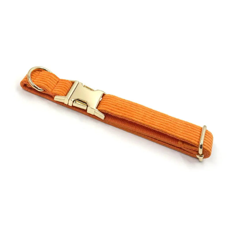 Fashion Corduroy Dog Collar w/ Gold Metal Buckle