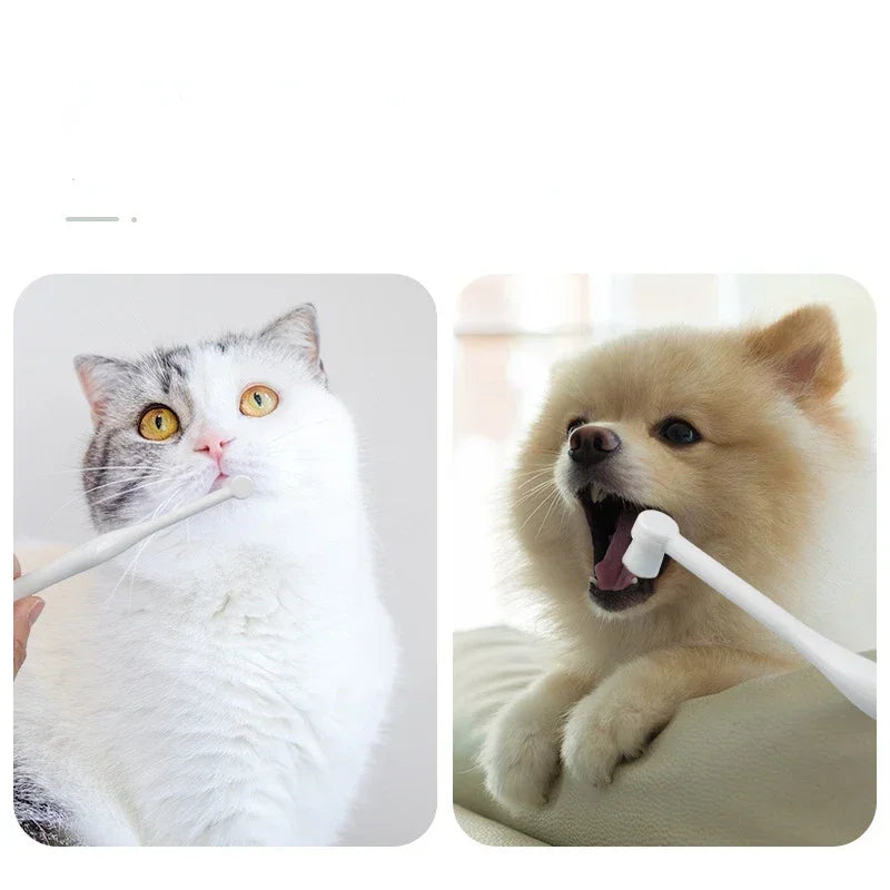 Heavy Duty Anti-Crack Round Head Pet Toothbrush