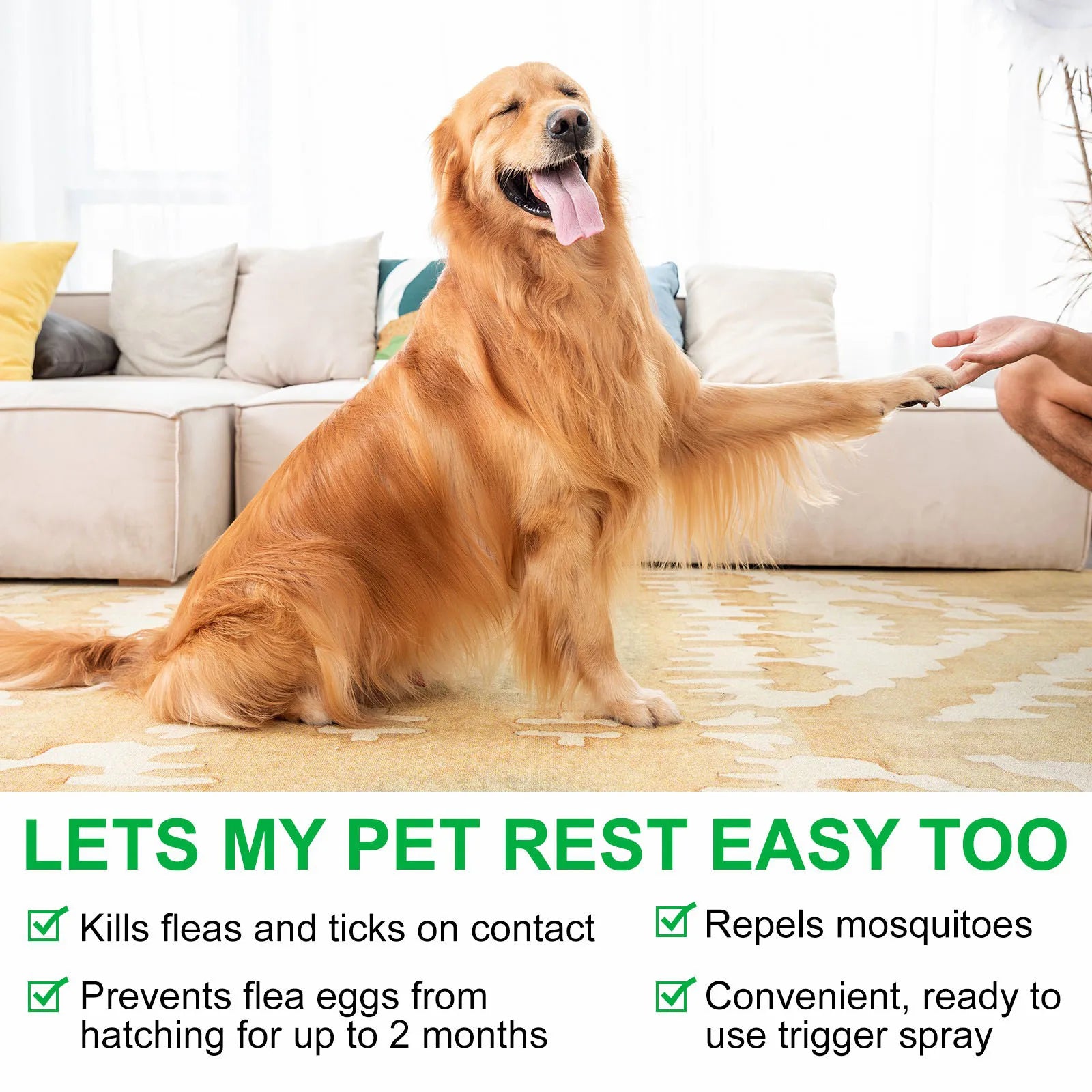 Easy-to-Use Pet Flea & Tick Spray