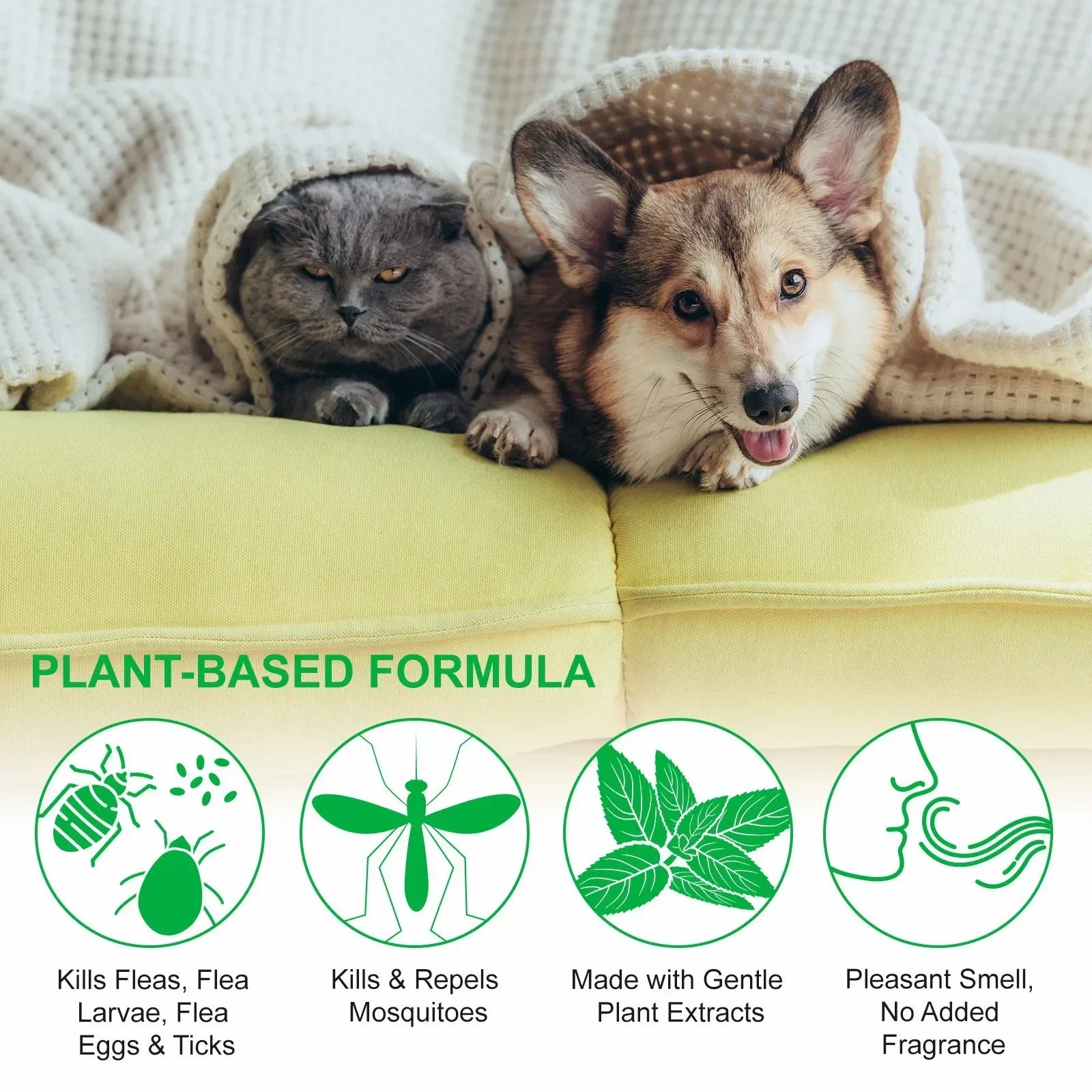 Natural Pet Care Topical Flea & Tick Spray
