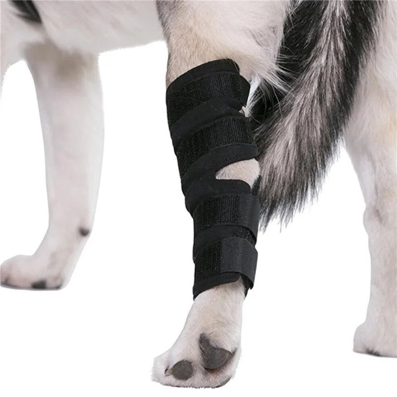 2PC Dog Joint Brace Bandage Wrap