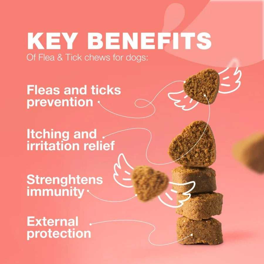 Dog Flea & Tick Prevention Natural Soft Chews