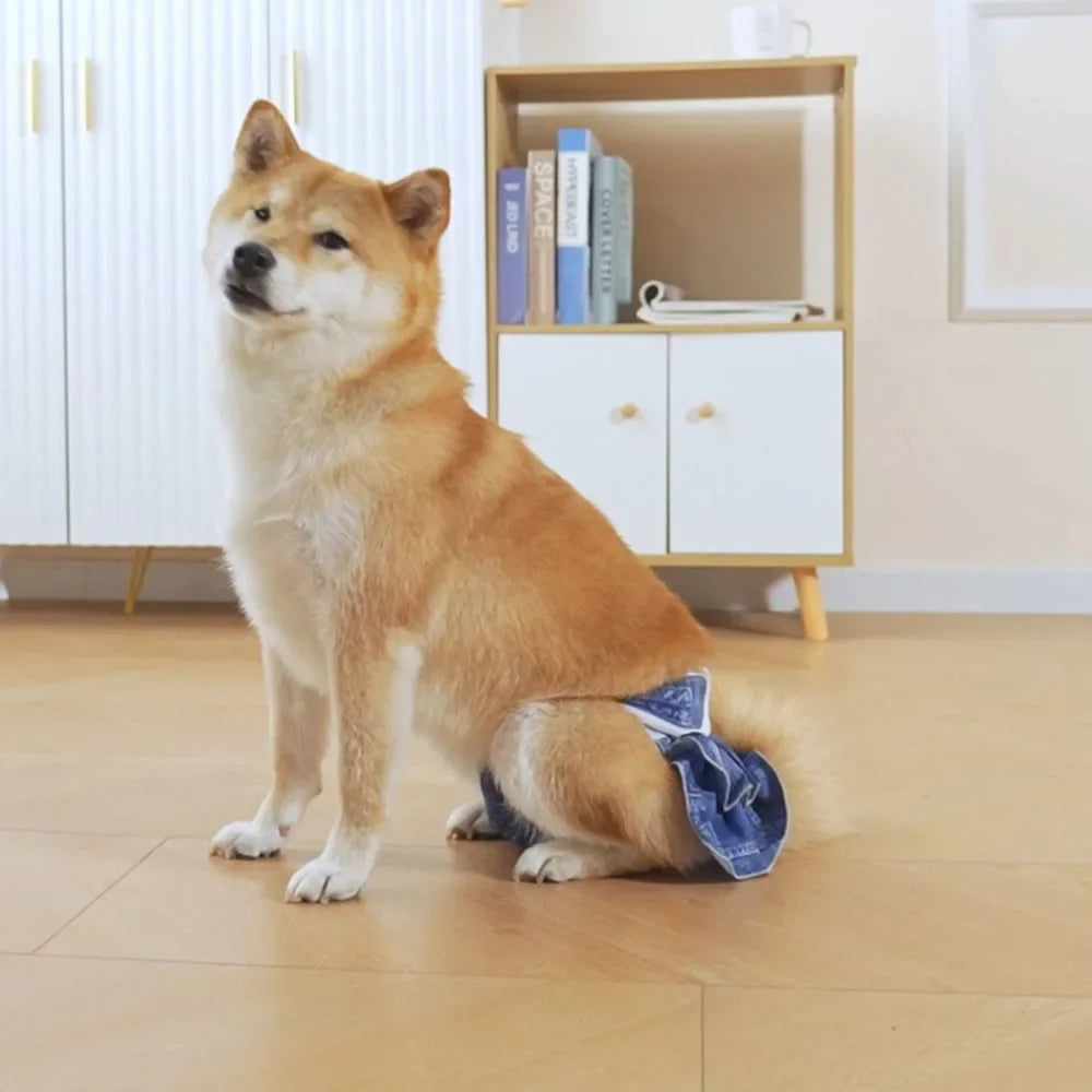 Cute Washable Female Dog Panties