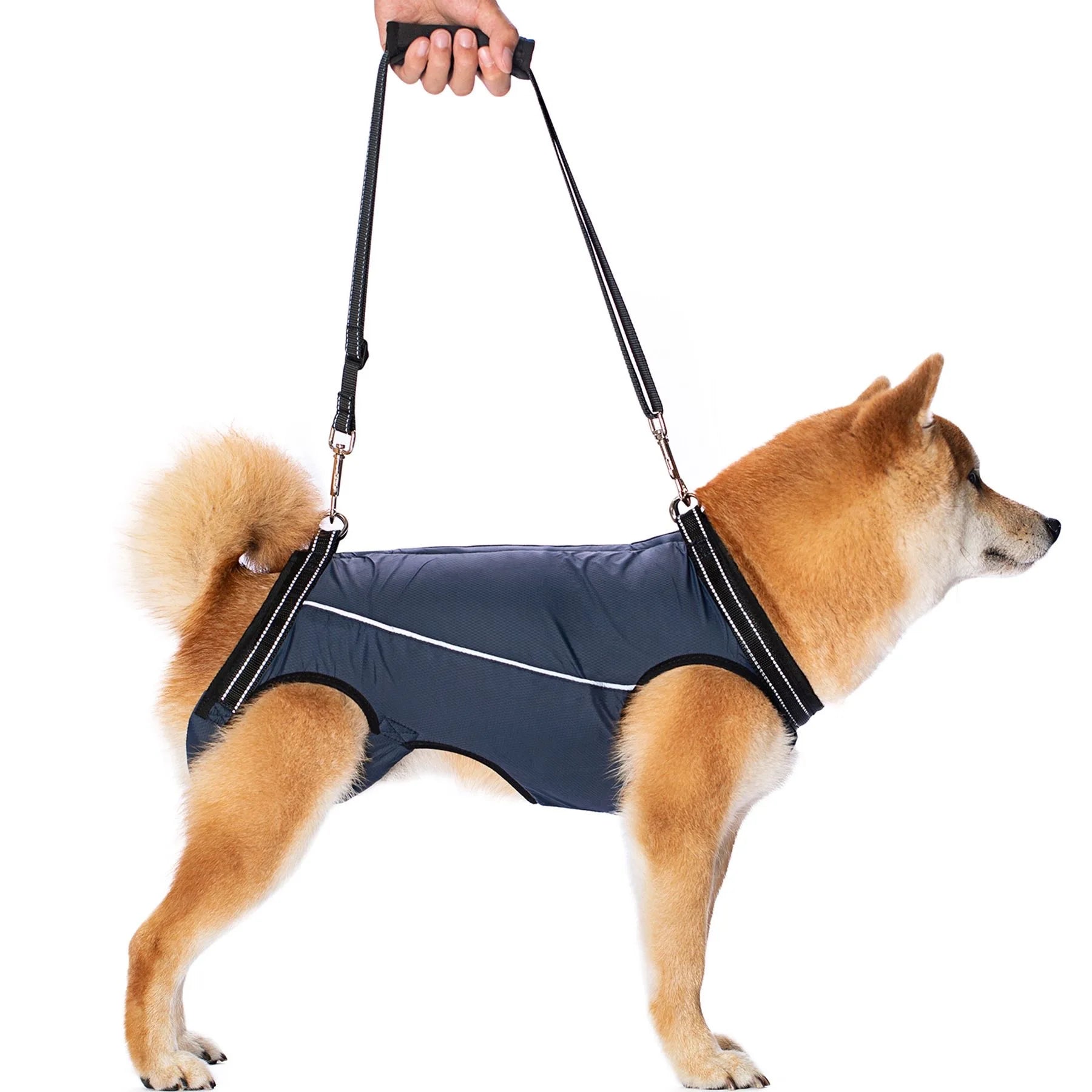 Dog Support Harness for Front & Rear Legs