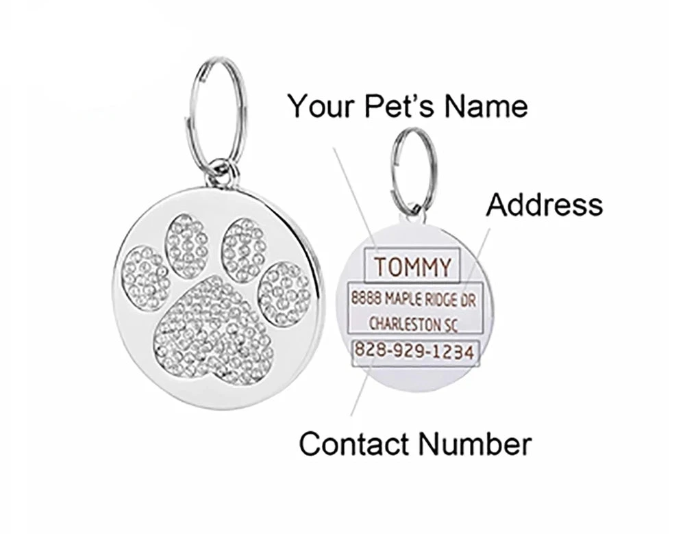 Engraved Stainless Steel Pet Pendant ID Tag