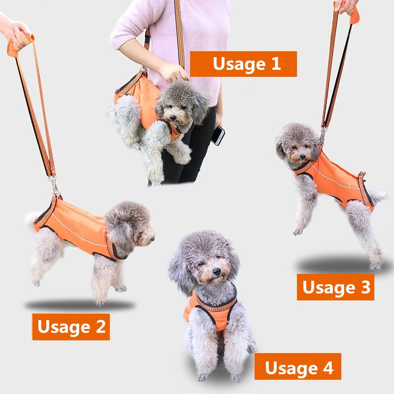 Dog Support Harness for Front & Rear Legs