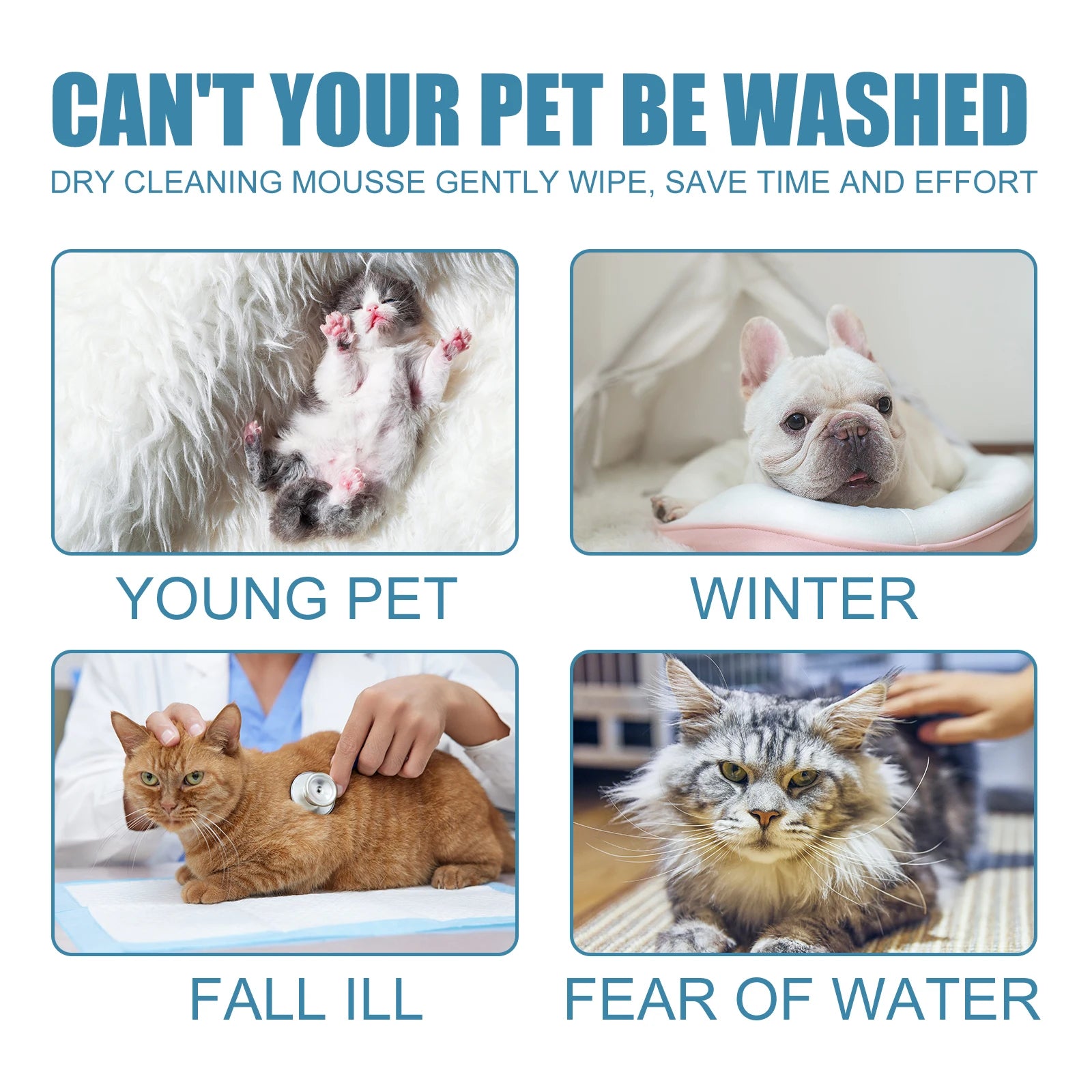 Pet Dry Waterless Bath Cleaning Foam Mousse